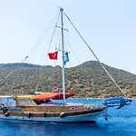Blue Cruise 