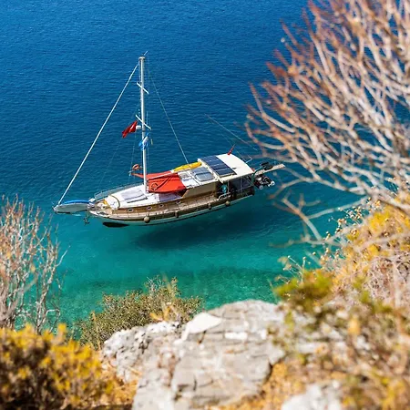  Blue Cruise *
