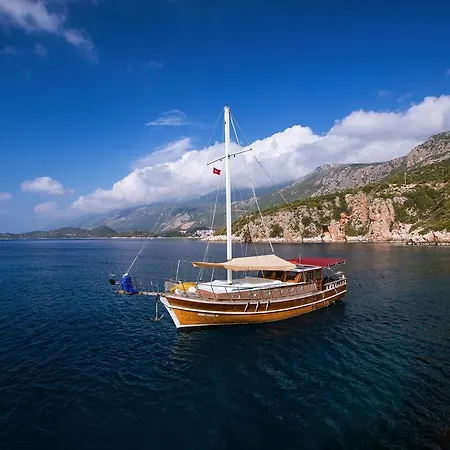 Blue Cruise *