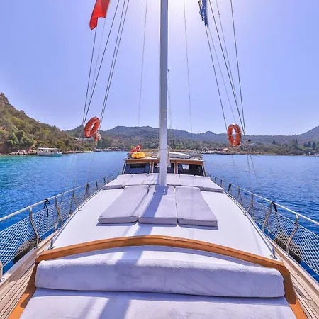 Blue Cruise 