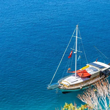 Blue Cruise