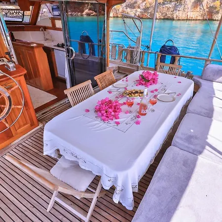 Blue Cruise  *