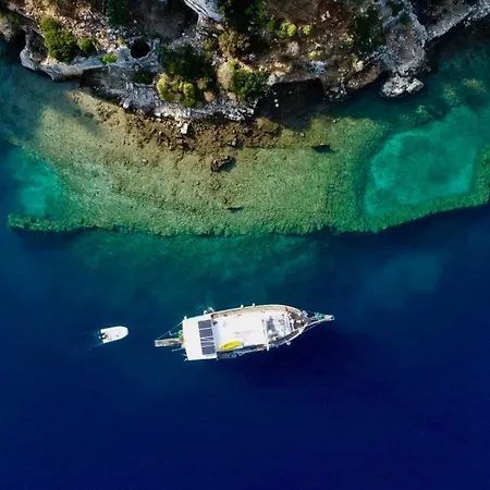  Blue Cruise *