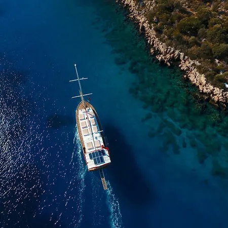 Blue Cruise 