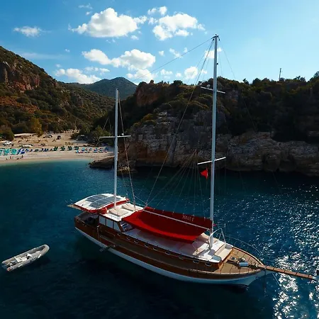  Blue Cruise