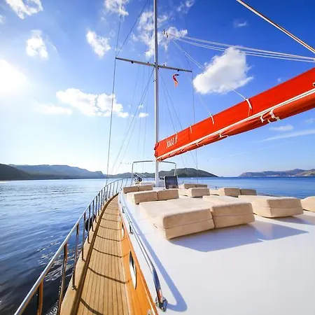 Blue Cruise *