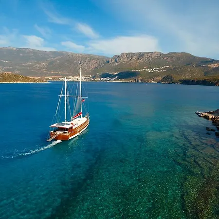 Blue Cruise *