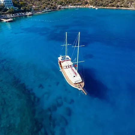 Blue Cruise