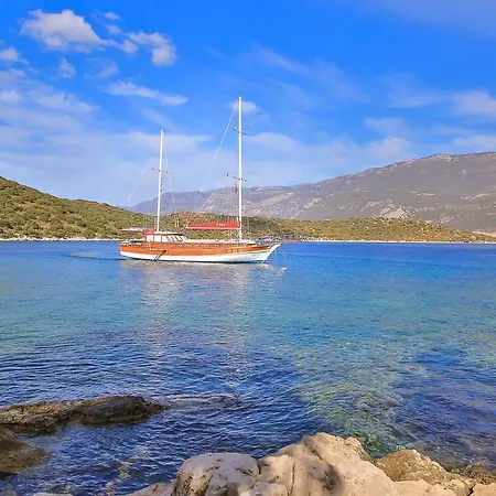Blue Cruise